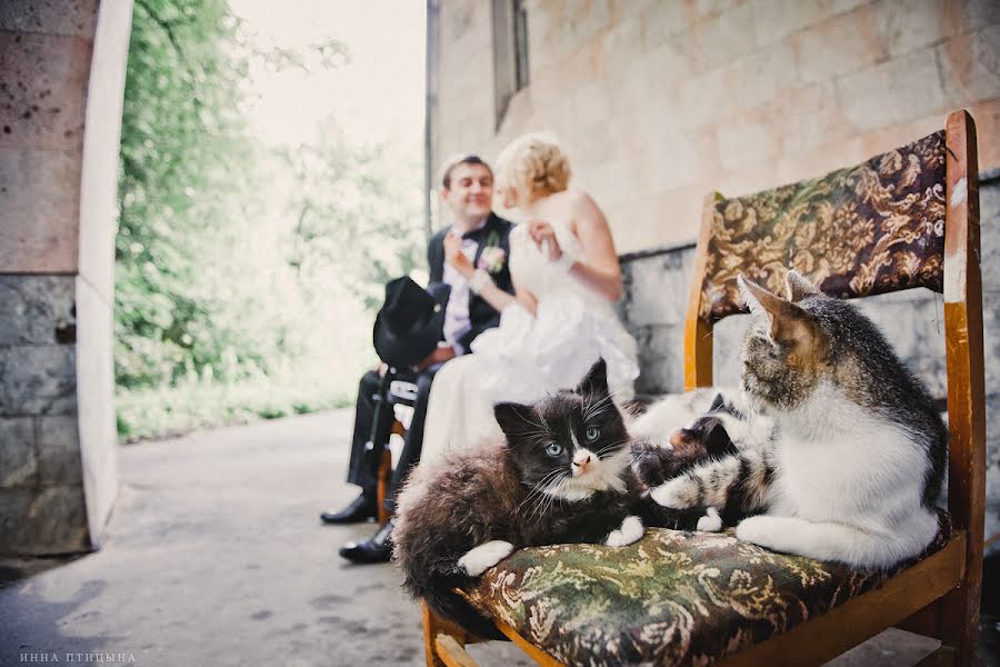 Wedding photographer Inna Pticyna (innaptitsyna). Photo of 22 July 2013