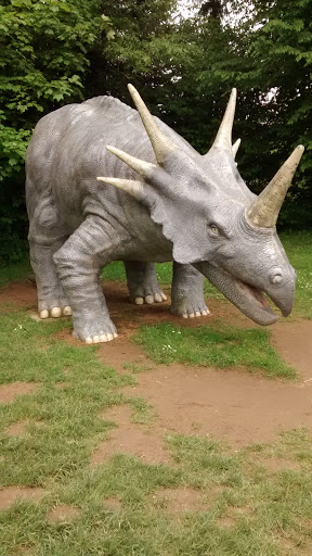 Triceratops