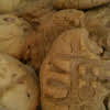 Thumbnail For Peanut Butter~peanut Butter Chip Cookies