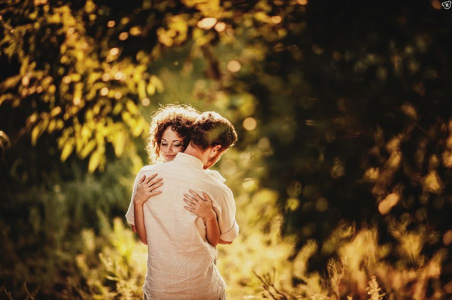 Photographe de mariage Aleksandr Medvedenko (bearman). Photo du 19 novembre 2013