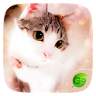 Lovely Cat Keyboard Theme icon