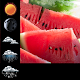 Download Watermelon Weather Widget For PC Windows and Mac 1.0