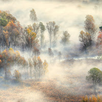 Nebbia sul fiume Adda di 