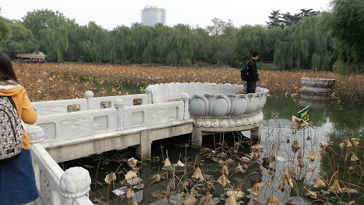 Bamboo Lake Beijing China 2015