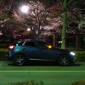 CX-3 DK5FW