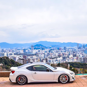 86 ZN6