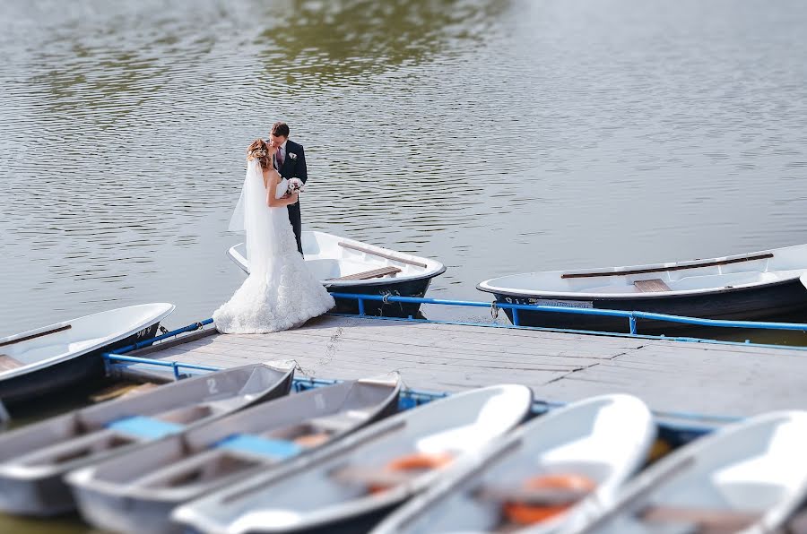 Wedding photographer Andrey Dinec (palmir). Photo of 9 December 2015