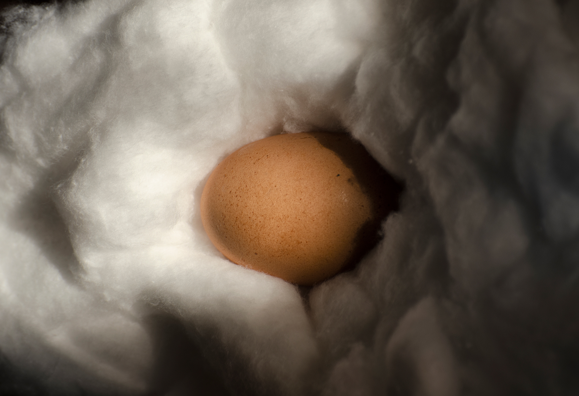 the soft egg di ZioSeb Photography