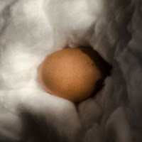 the soft egg di ZioSeb Photography