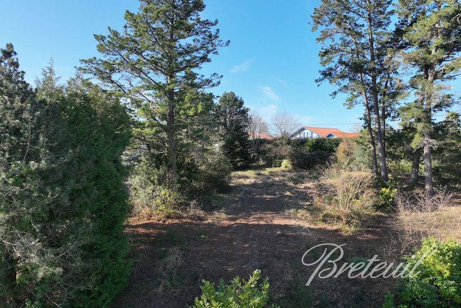 Vente terrain  1315 m² à Arcangues (64200), 395 000 €