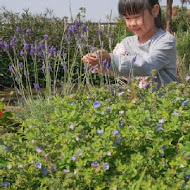 木匠兄妹木工房