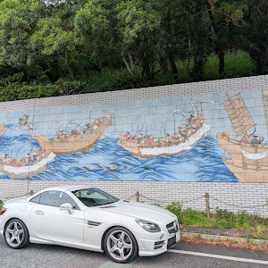 SLK R172
