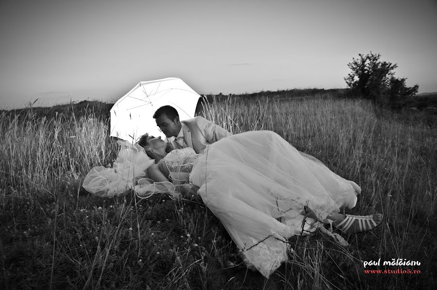 Photographe de mariage Paul Malaianu (paulmalaianu). Photo du 26 août 2015