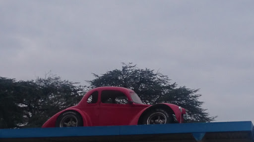 Car on Servo Roof