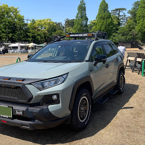 RAV4 MXAA54