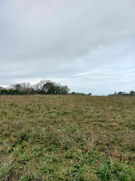 terrain à Saint-Médard-de-Mussidan (24)