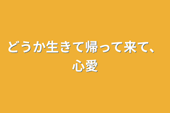 どうか生きて帰って来て、心愛