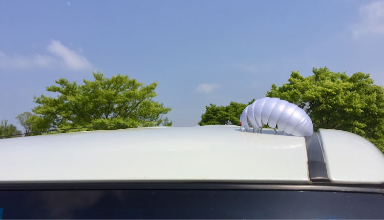 タントカスタムの気まぐれドライブ・変なおじさん・ぺっいわの国・アルビノだんごむし・だんごむしさんに関するカスタム事例の投稿画像1枚目