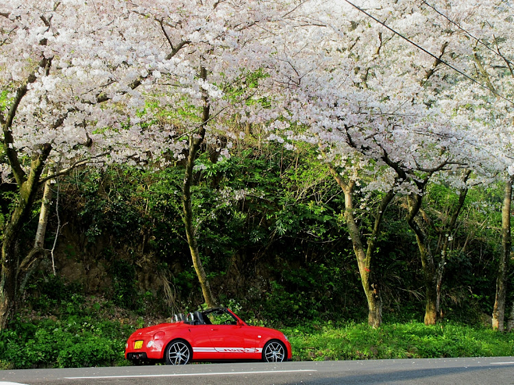 コペンの朝活・桜とコラボ・ドライブ・絵になるクルマに関するカスタム事例の投稿画像17枚目