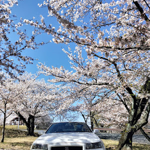 スカイライン GT-R R34