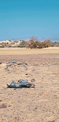 Desolazione di Vitoantoniospinosa