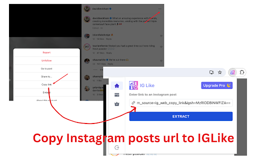 IGLike - Export Likes for IG