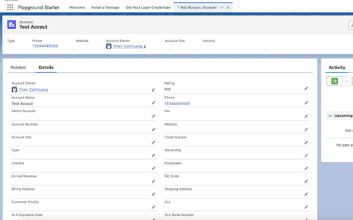 Salesforce Show Api Name