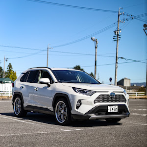 RAV4 AXAH54