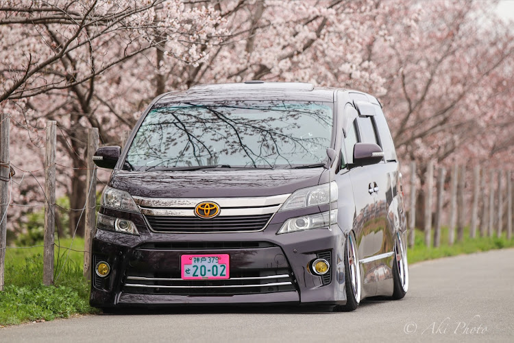 ヴェルファイアのdiscover＿ct・(有)空気脚製造所・洗車が最大のカスタム・桜とコラボ・サクラと愛車に関するカスタム事例の投稿画像1枚目