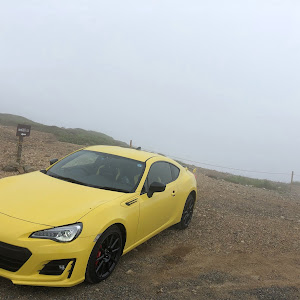 BRZ ZC6