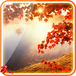 Falling Leaves Live Wallpaper Apk