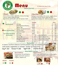 Ipotle- Indo Mexican Grill menu 6