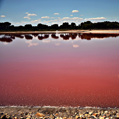 saline di tizianadesy