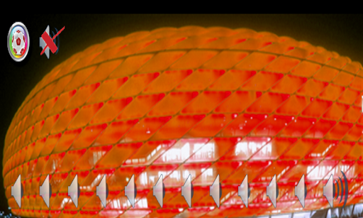 Football Supporter Bayern Fan