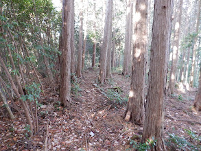 最高点（何も無し）