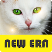 Animal - NEW ERA  Icon