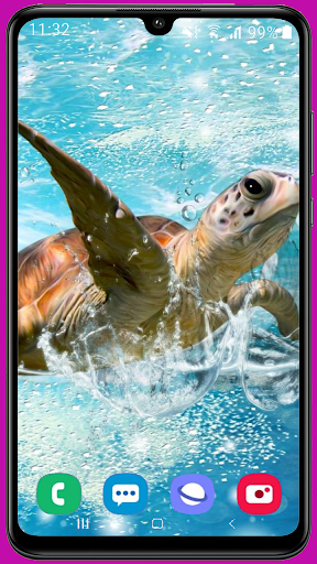 Tortoise Wallpaper Best HD