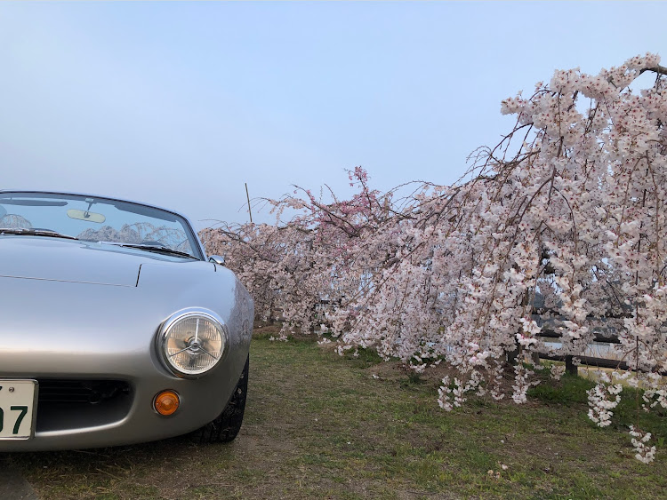 ロードスターの早起きは三文の得・桜と愛車・良い1日をお過ごしください！に関するカスタム事例の投稿画像2枚目