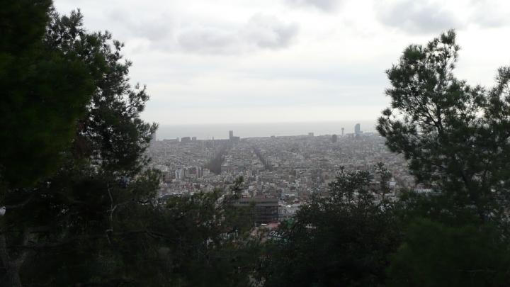 Barcellona di violetta