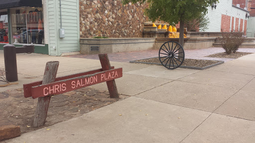 Chris Salmon Plaza