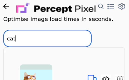 PerceptPixel Image Transformer