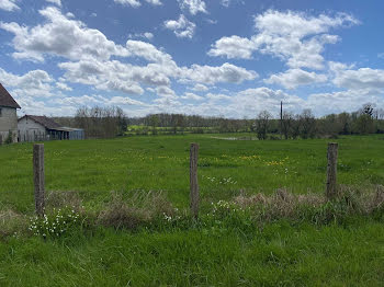 terrain à La Porte du Der (52)