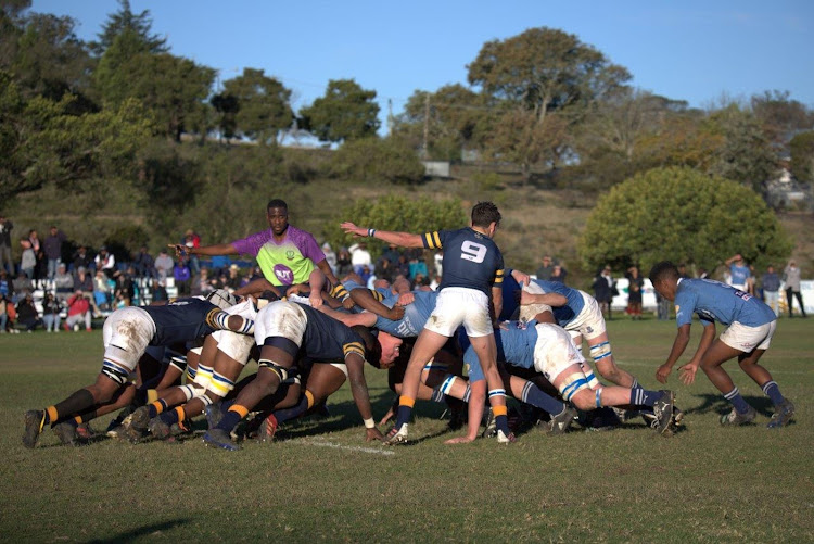 Graeme College scrumhalf Steven du Preez directs his defence as Grey High hook the ball at a scrum during their schools rugby clash in Makhanda on Saturday