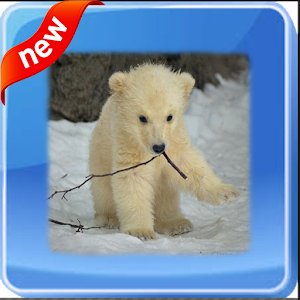 Download Baby Animal Wallpapers For PC Windows and Mac