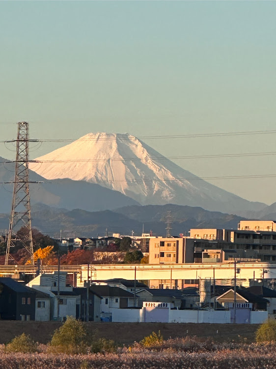 の投稿画像2枚目