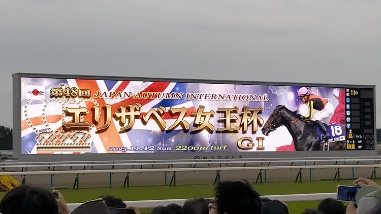 豐さんが投稿した自分の車が登場しないやつ・競馬・エリザベス女王杯・京都競馬場・ウマ娘痛車に関するカスタム事例の投稿画像10枚目