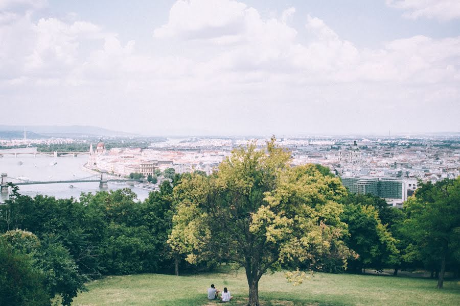 結婚式の写真家Sergio Mazurini (mazur)。2015 1月14日の写真