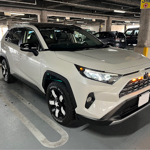 RAV4 MXAA54