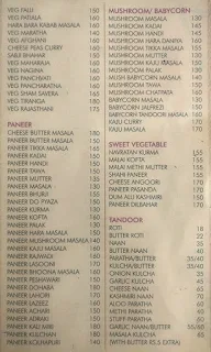 Aahaar Veg Court menu 2