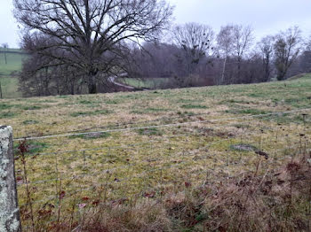 maison neuve à Boisseuil (87)